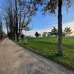 Exclusive Wohunung direkt am Rhein 1.5 km von der Messe